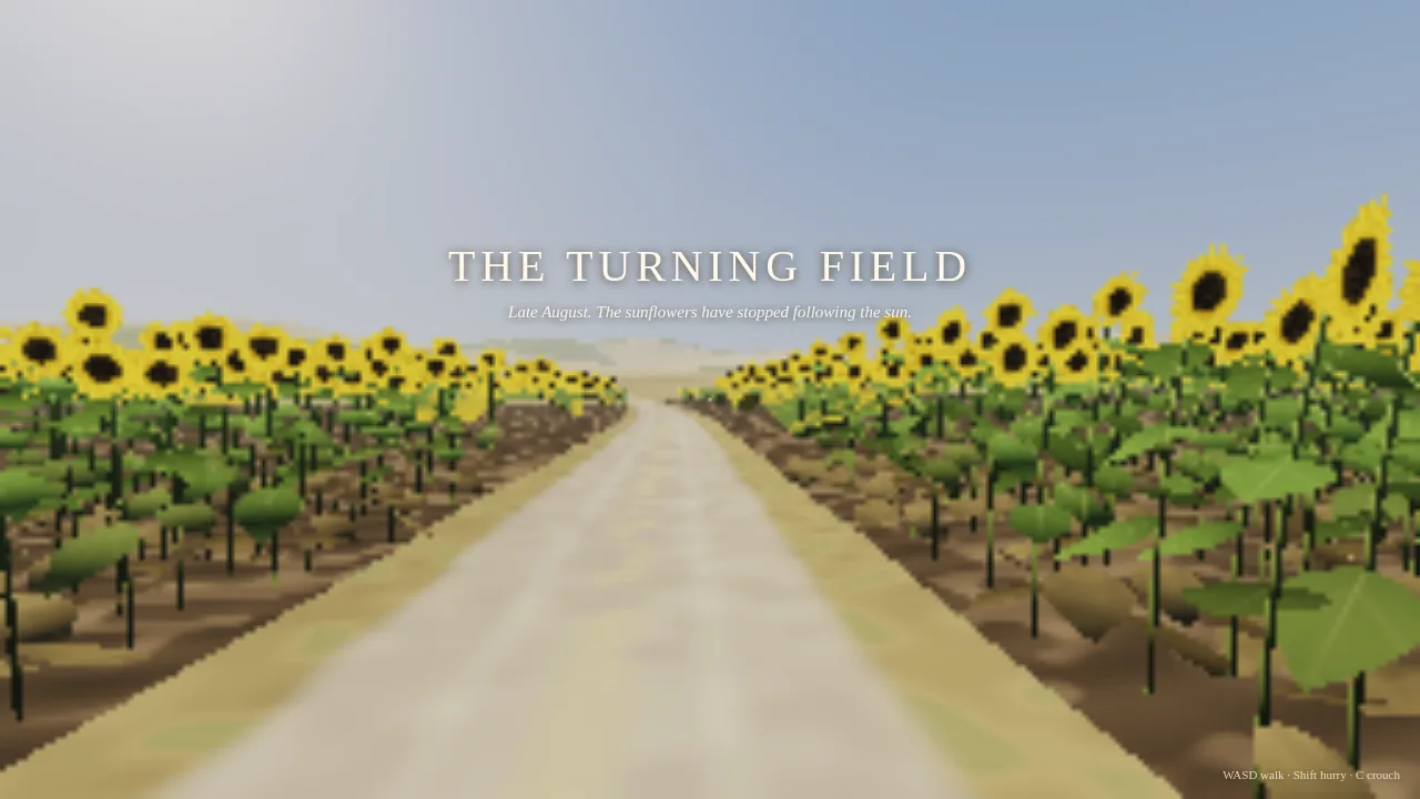 The Turning Field